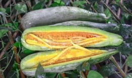 网红吃瓜爆料黄钰杰,黄钰杰事件真相揭秘