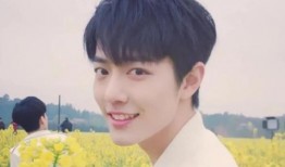 爆料娱乐圈朴智旻百度云,揭秘明星私生活与粉丝互动幕后故事